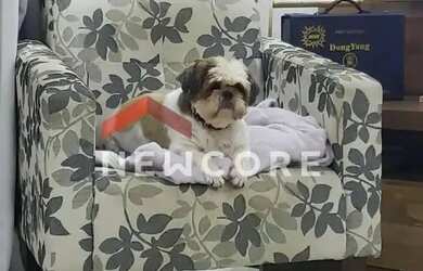 Imagem 9: Casa em Rua Cristiana - Venda da Cruz - São Gonçalo/RJ