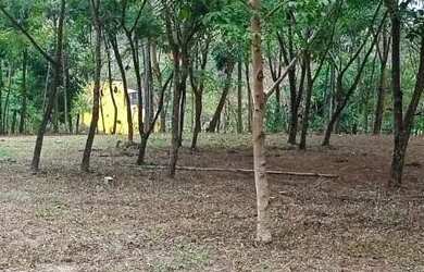 Imagem 2: Terrenos Urbanos e em Chácara