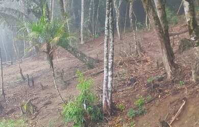 Imagem 2: Vendo terreno. 1.500m² de Área