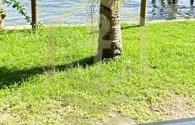 Imagem 12: Casa com vista maravilhosa na Ponta do Sapê - Angra dos Reis - RJ