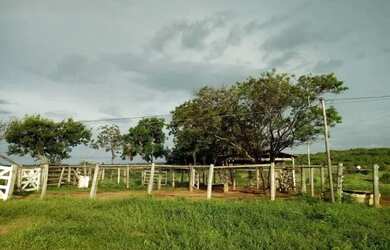 Imagem: FAZENDINHA 48 HECTARES (10 ALQUERES) SAIDA FRANCISCO SA 28 KM