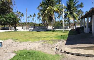 Imagem 15: Venha se apaixonar pelas belezas naturais de Barra de Mamanguape/PB!!