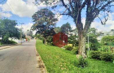 Imagem 8: Terreno à venda, 467 m² por R$ 749.000,00 - Pedra Branca - Palhoça/SC