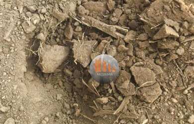 Imagem 16: Fazenda à venda, 644 alqueires por R$ 400.000.000 - Acreúna/GO