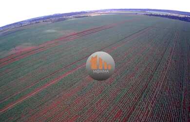 Imagem 7: Fazenda à venda, 644 alqueires por R$ 400.000.000 - Acreúna/GO