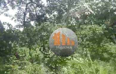 Imagem 4: Fazenda à venda, 1.480 alqueires por R$ 51.800.000 - Araguapaz/GO