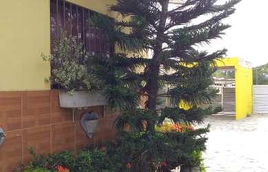 Imagem: A casa em condomínio possui 2 Dormitórios, 2 Banheiros, 1