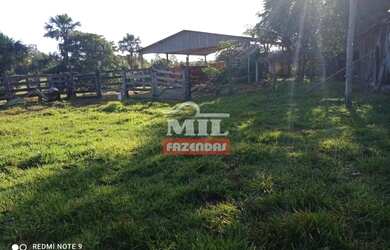 Imagem 4: FAZENDA 102 ALQUEIRES (493 hectares) BOM JARDIM DE GOIÁS - GO