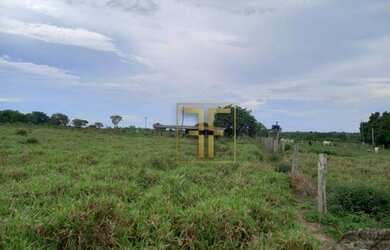 Imagem 1: Fazenda 254 Alqueires Mundo Novo, GO