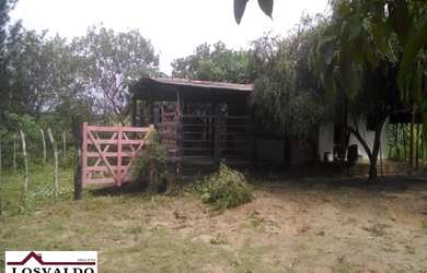 Imagem 2: SITIOMata de São João. 262m² de Área