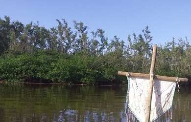 Imagem: A chácara possui 10.000m² de Área e está localizado em