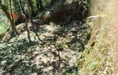 Imagem 15: Vendo Maravilhoso Terreno