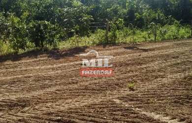 Imagem 2: FAZENDA 102 ALQUEIRES (493 hectares) BOM JARDIM DE GOIÁS - GO