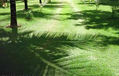 Imagem: A casa possui 5 Dormitórios, 5 Banheiros, 5 Vagas na garagem