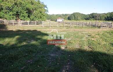Imagem 7: FAZENDA 102 ALQUEIRES (493 hectares) BOM JARDIM DE GOIÁS - GO