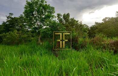 Imagem 4: Fazenda 254 Alqueires Mundo Novo, GO