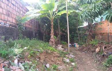 Imagem: O terreno possui Imóvel novo e está localizado em Japiim