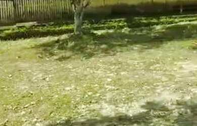 Imagem 2: SÍTIO RURA. 