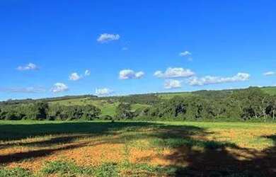 Imagem 6: Fazenda 203 Hectares Leopoldo De Bulhões GO