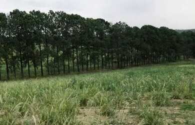 Imagem: O terreno possui 500m² de Área e está localizado em Nova