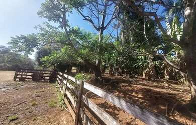 Imagem 12: 08 Alqueires, Rica em Água, Bela Vista Goiás- Goiás