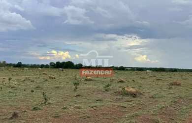Imagem 2: Fazenda 57,3 alqueires 277,33 hectares São Miguel do Araguaia - Go