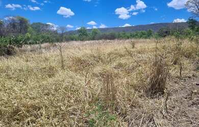 Imagem 15: Fazenda 81 uma hectares e meia valor 420.000