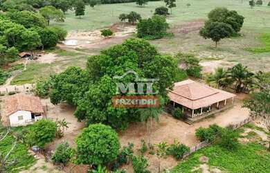 Imagem 10: Fazenda 57,3 alqueires 277,33 hectares São Miguel do Araguaia - Go