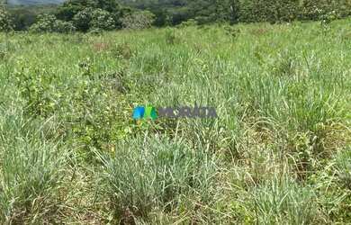 Imagem 11: FAZENDA À VENDA - 190 HECTARES - BURITIS MG