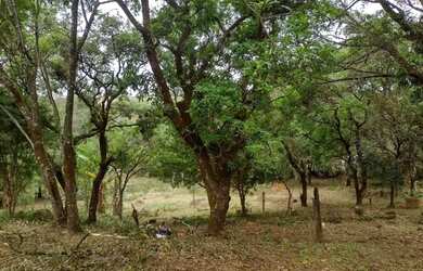 Imagem 5: Sítio 5,5Hec, 55.000m2, 2 Cachoeiras, 2 Lagos, Suítes, Zona Rural -...