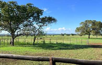 Imagem 15: Fazenda com 1.433 Hectares - IACIARA - GO -R$. 42 Milhões