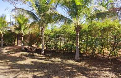 Imagem 16: VENDO LINDA CHACARA DE 2.500 M² A 05 KM DE MONTES CLAROS MG, SENTIDO...