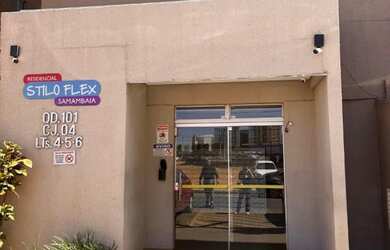 Imagem 4: Stilo Flex Samambaia 2Qts