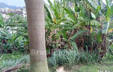 Imagem 10: Terreno Residencial - Freguesia (Jacarepaguá