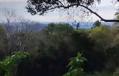 Imagem 9: Sítio / Chácara para Venda em Nova Petrópolis, Linha Imperial