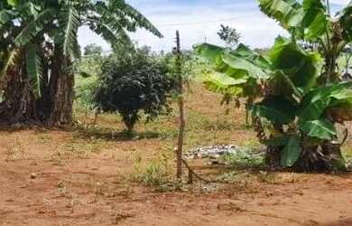 Imagem 7: Terreno à venda no bairro Residencial Recanto Do Ipês em Bela Vista...