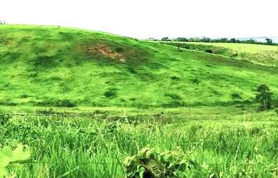 Imagem 3: Fazenda de 280 Tarefas pra fazer