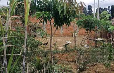 Imagem: A chácara possui 1.000m² de Área e está localizado em Horto