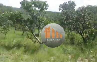 Imagem 7: Fazenda à venda, 1.480 alqueires por R$ 51.800.000 - Araguapaz/GO