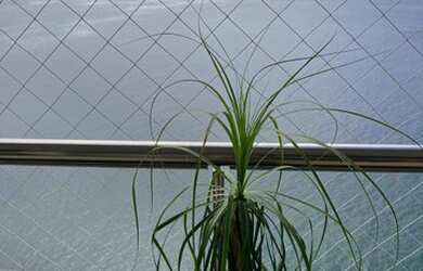 Imagem 2: Apartamento para venda com 288 metros quadrados com 3 quartos em Vitória - Salvador - BA