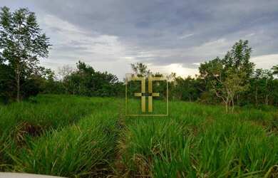 Imagem 8: Fazenda 254 Alqueires Mundo Novo, GO