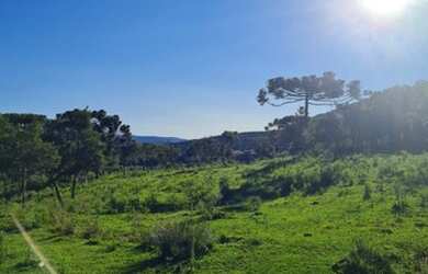 Imagem: O terreno possui 2.000m² de Área e está localizado em Urubici