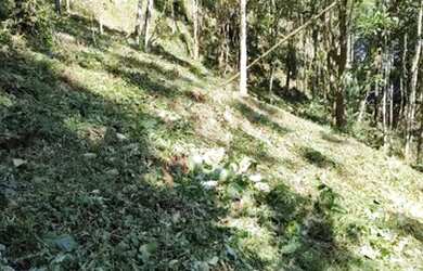 Imagem 10: Vendo Maravilhoso Terreno