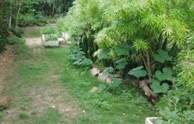 Imagem: O terreno possui 700m² de Área e está localizado em Atalaia