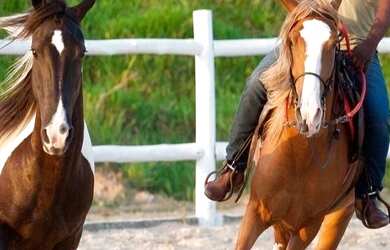 Imagem: O terreno possui 300m² de Área e está localizado em Miramar
