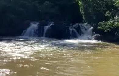 Imagem 7: Fazenda 203 Hectares Leopoldo De Bulhões GO
