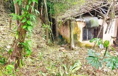 Imagem: O terreno está localizado em Floresta, Joinville à venda por