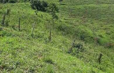 Imagem 2: Fazenda com pasto nativo à venda, 500000 m² por R$ 1.480.000 Cidade...