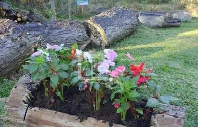 Imagem 10: TERRENO EM GRAMADO. 722m² de Área