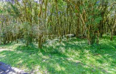 Imagem: O terreno possui 771m² de Área e está localizado em Canela